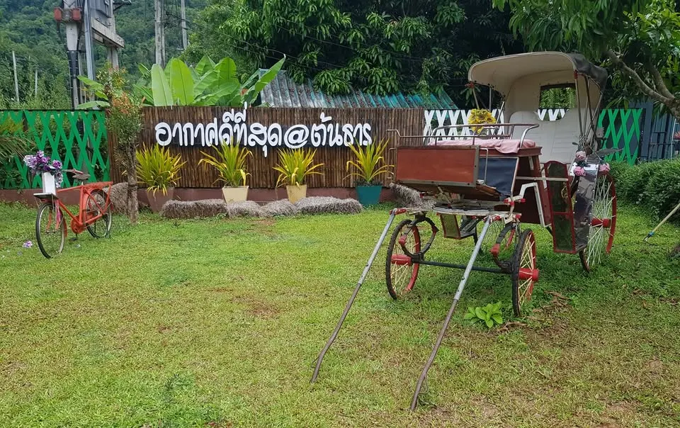 Ton Tarn Resort & Spa ที่พักขนอม รีสอร์ทบรรยากาศธรรมชาติ พร้อมสระว่ายน้ำและกิจกรรมครอบครัว