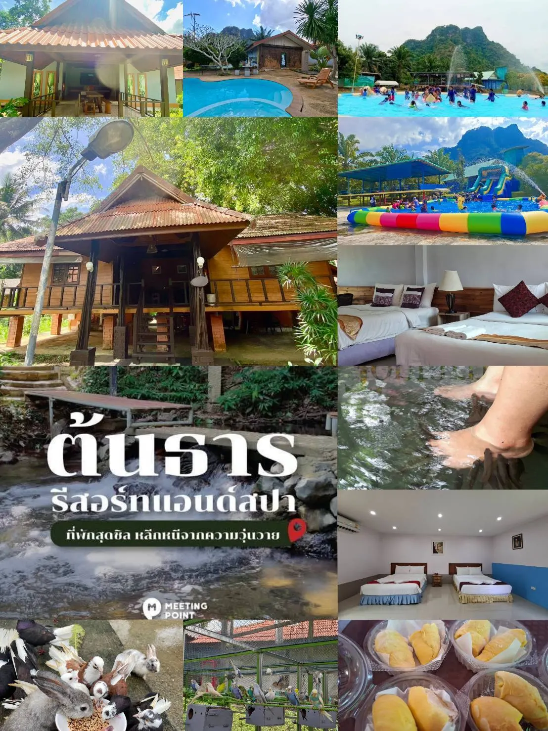 Ton Tarn Resort & Spa ที่พักขนอม รีสอร์ทบรรยากาศธรรมชาติ พร้อมสระว่ายน้ำและกิจกรรมครอบครัว