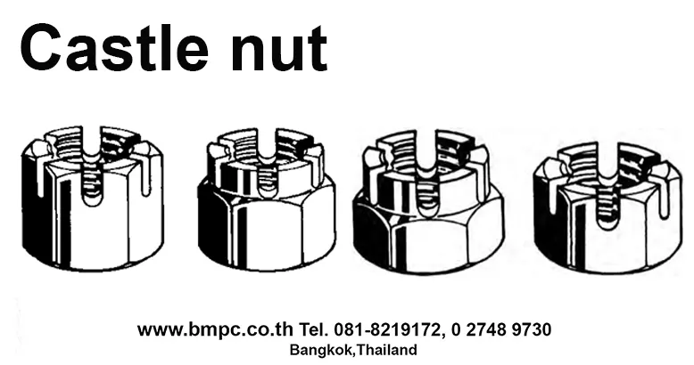 Hexagon head bolt, Bolt with flange, Shoulder screw, Set screw, screw plug, thin nut, lock nut, Castle nut, Locking disc