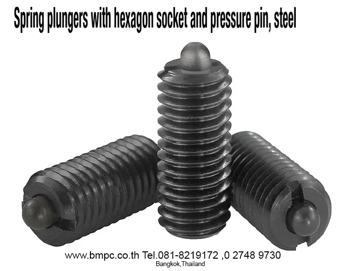 Spring plunger, pressure pin plunger, plunger Disc spring, Thread repair tool