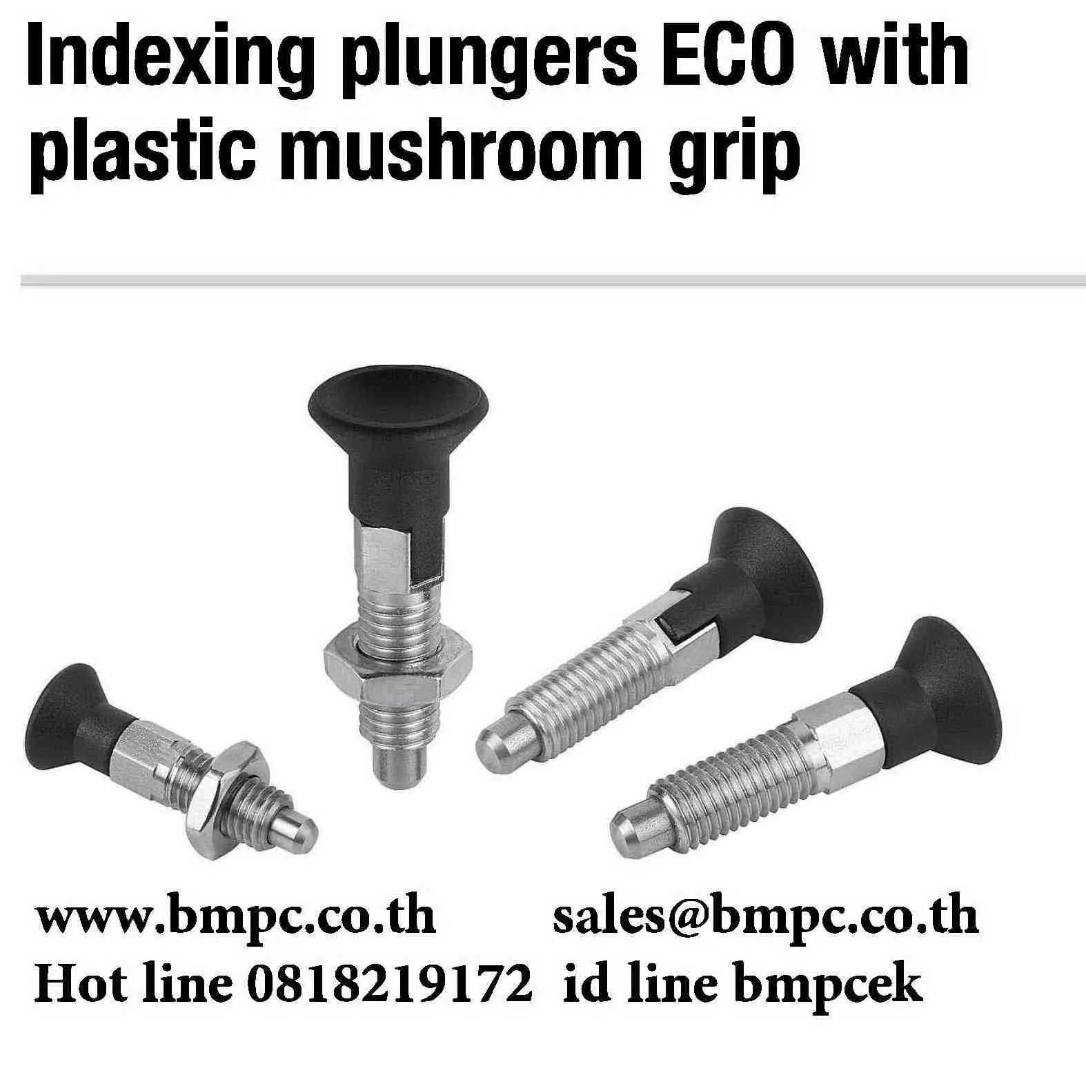 Ball plunger, Socket spring plunger, Index plunger, press fit plunger