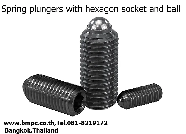 Ball plunger, Socket spring plunger, Index plunger, press fit plunger