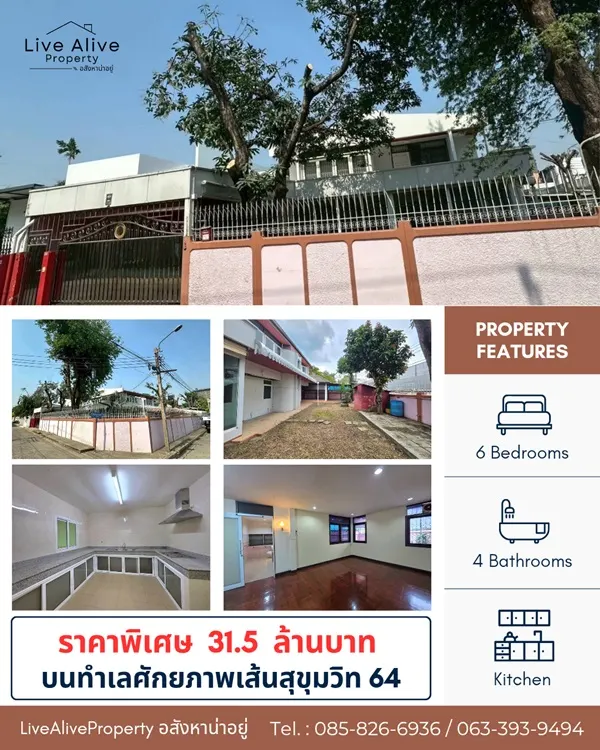 สินทรัพย์ศักยภาพสูง ทำเลทองสุขุมวิท ขายด่วน ! บ้านพร้อมที่ดินแปลงสวย ทำเลทองสุขุมวิท 64 แปลงหัวมุม สังคมบ้านหลังใหญ่ เข้