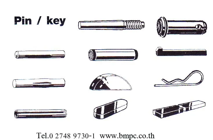 Taper pin, DIN1B, ISO2339B, ลิ่มเทเบอร์ เหล็ก, สแตนเสล  ขนาด 1-16 mm.