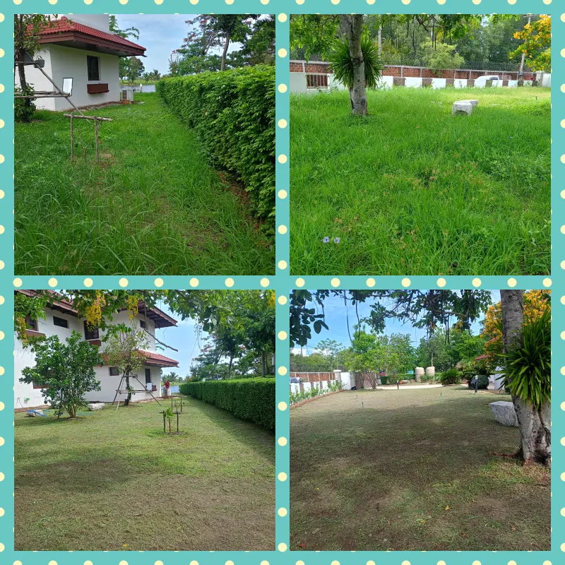 รับตัดหญ้า ตัดแต่งไม้ประดับ รับดูแลสวน รับจัดสวน