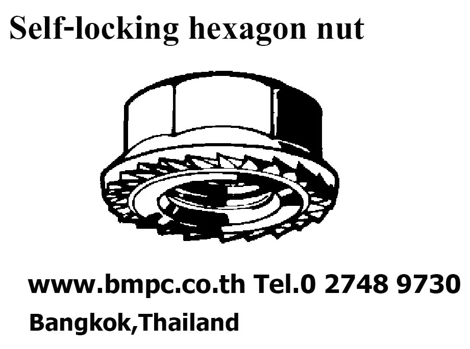 Self lock nut, Prevailing torque nut, Plastic insert nut, Jam lock nut nylon insert, Ribb lock nut