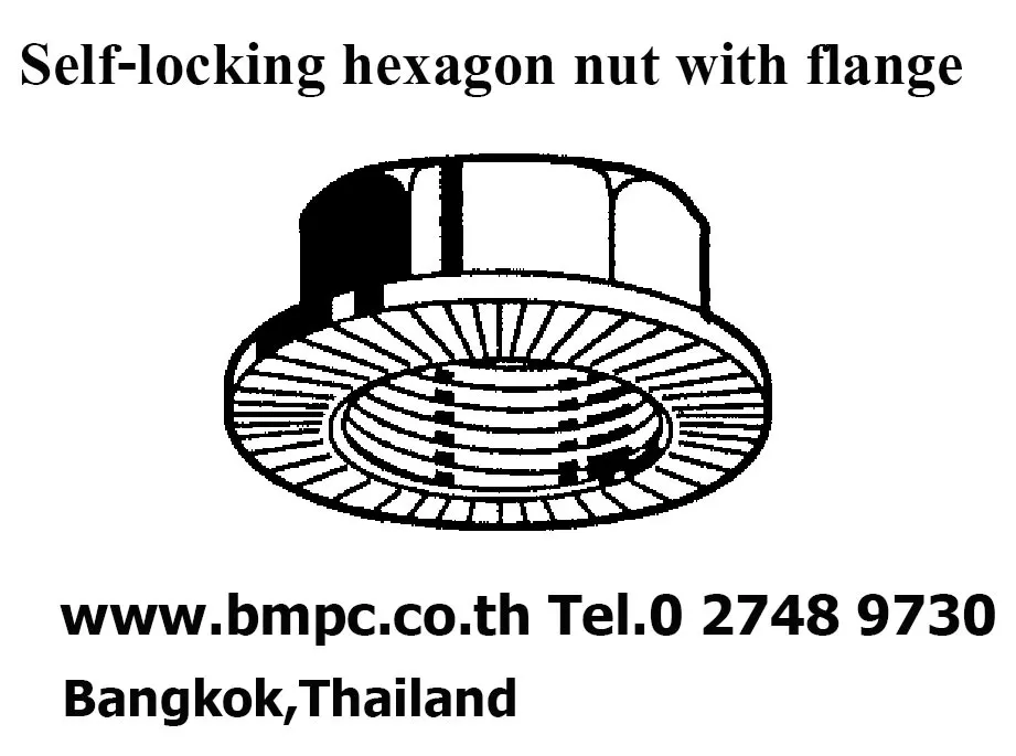 Self lock nut, Prevailing torque nut, Plastic insert nut, Jam lock nut nylon insert, Ribb lock nut
