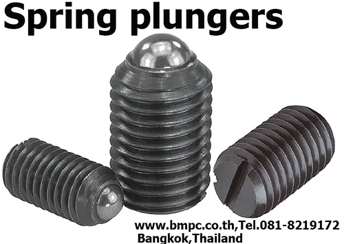 Ball plunger, spring plunger, หนอนปลายลูกปืน, slot ball plunger, Amecoil, Thread insert, Schnorr, Disc spring