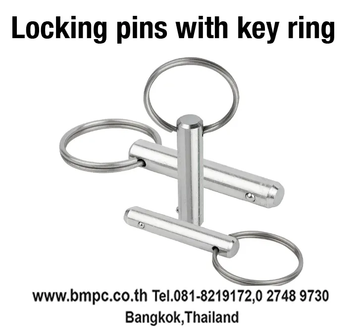 Ball plunger, spring plunger, หนอนปลายลูกปืน, slot ball plunger, Amecoil, Thread insert, Schnorr, Disc spring