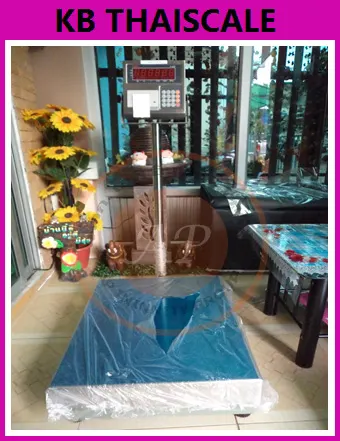 เครื่องชั่งมีปริ้นท์ในตัว เครื่องชั่งพร้อมพิมพ์ 100kg TI-02P-3040-100K