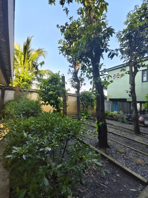 ขายบ้านสวน พร้อมที่ดิน รวม 3 ไร่ บึงกาสาม อ.หนองเสือ จ.ปทุมธานี น้ำไม่ท่วม เจ้าของขายเอง โทร.086-7777215