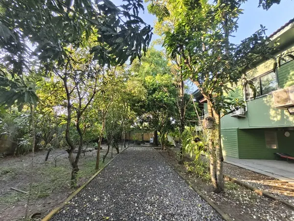 ขายบ้านสวน พร้อมที่ดิน รวม 3 ไร่ บึงกาสาม อ.หนองเสือ จ.ปทุมธานี น้ำไม่ท่วม เจ้าของขายเอง โทร.086-7777215