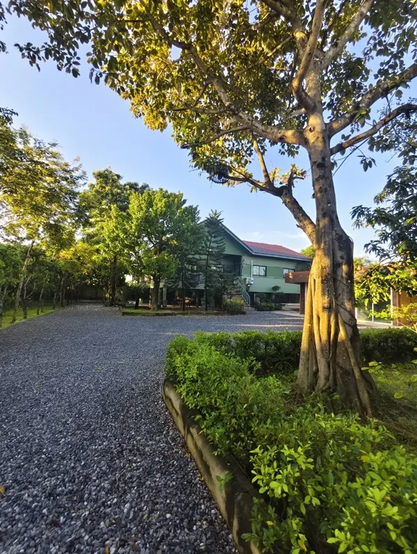 ขายบ้านสวน พร้อมที่ดิน 3 ไร่ อ.หนองเสือ จ.ปทุมธานี น้ำไม่ท่วม พร้อมเข้าอยู่ โทร 086-7777215 เจ้าของขายเอง