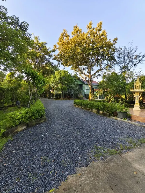 ขายบ้านสวน พร้อมที่ดิน 3 ไร่ อ.หนองเสือ จ.ปทุมธานี น้ำไม่ท่วม พร้อมเข้าอยู่ โทร 086-7777215 เจ้าของขายเอง