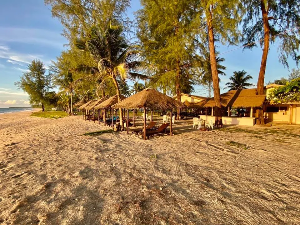 ThaiLife Beach Restaurant & Bar ร้านอาหารและบาร์ริมทะเล บางม่วง ตะกั่วป่า พังงา