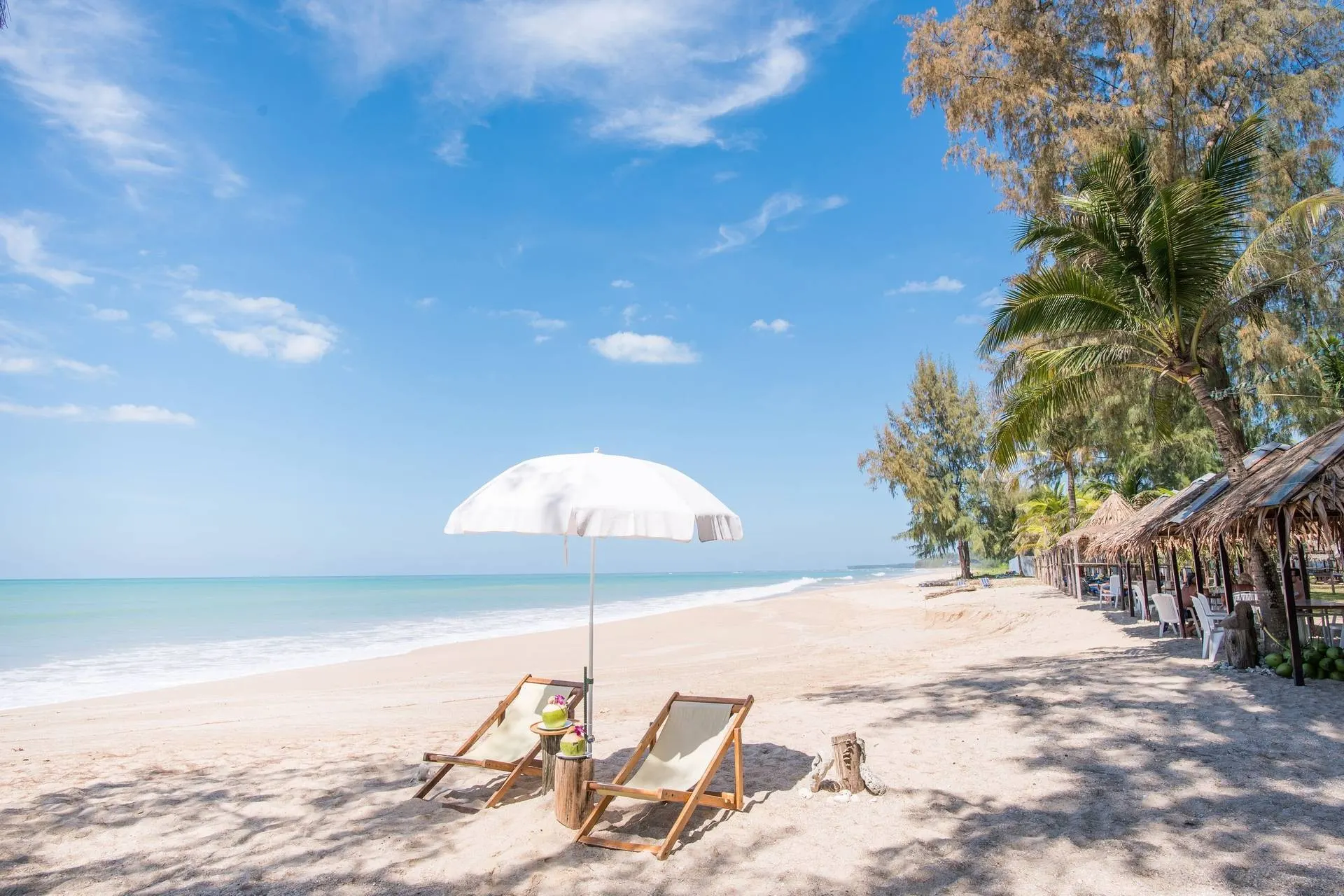 ThaiLife Beach Restaurant & Bar ร้านอาหารและบาร์ริมทะเล บางม่วง ตะกั่วป่า พังงา