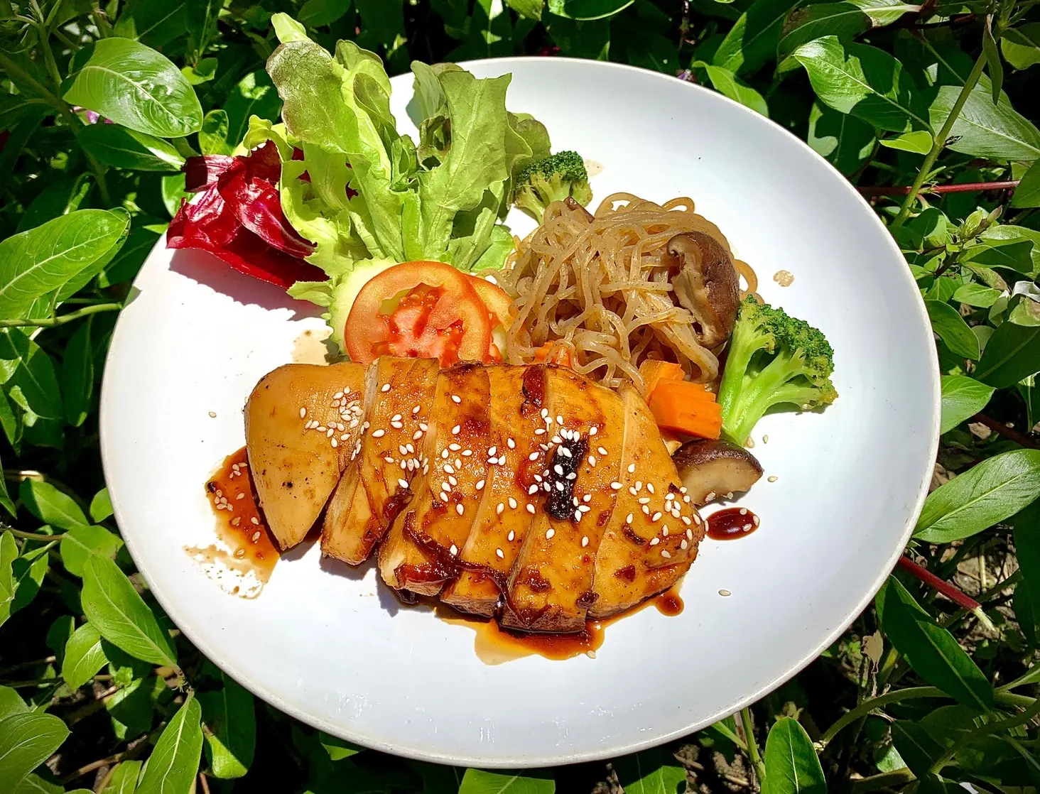 ThaiLife Beach Restaurant & Bar ร้านอาหารและบาร์ริมทะเล บางม่วง ตะกั่วป่า พังงา