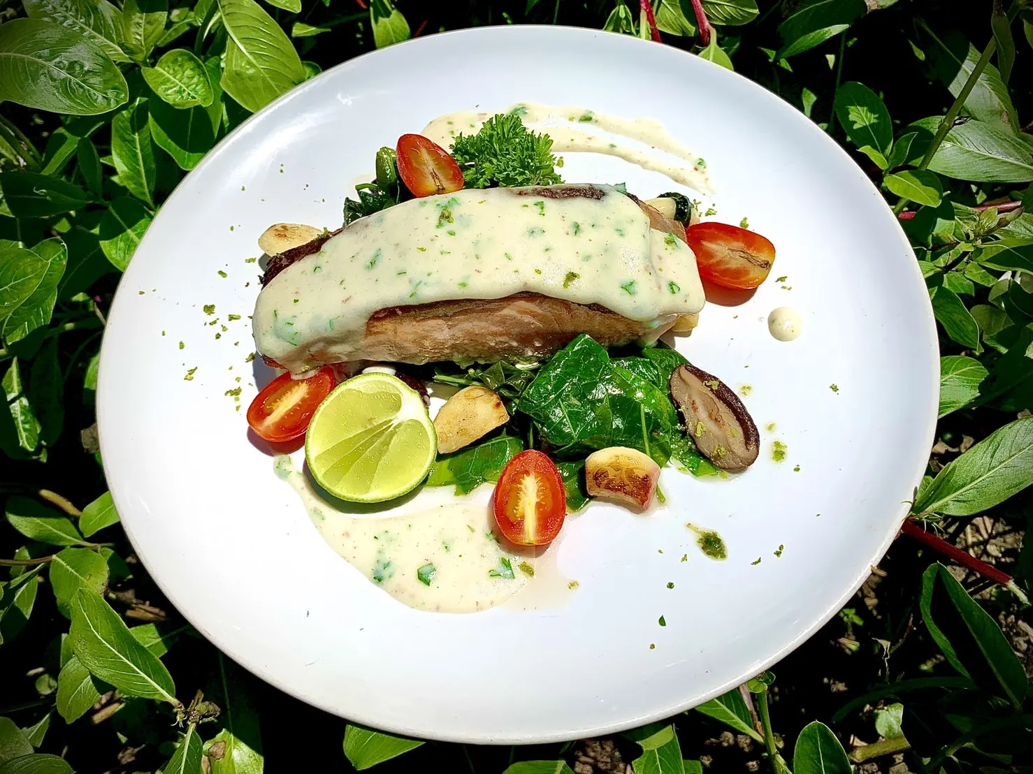 ThaiLife Beach Restaurant & Bar ร้านอาหารและบาร์ริมทะเล บางม่วง ตะกั่วป่า พังงา