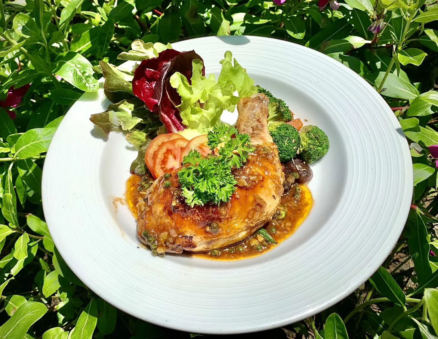 ThaiLife Beach Restaurant & Bar ร้านอาหารและบาร์ริมทะเล บางม่วง ตะกั่วป่า พังงา