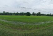 ขายด่วน ที่นา 33 ไร่ บ้านส้มโฮง ตำบลหินกอง อำเภอสุวรรณภูมิ จ.ร้อยเอ็ด