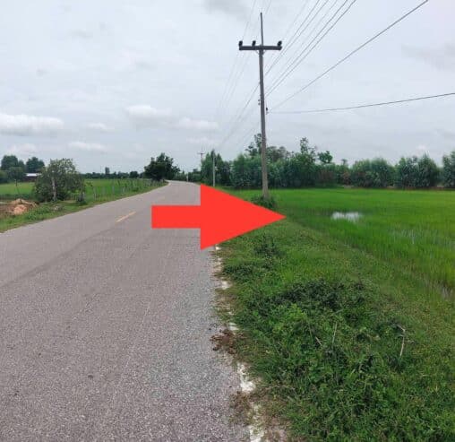 ขายด่วน ที่นา 33 ไร่ บ้านส้มโฮง ตำบลหินกอง อำเภอสุวรรณภูมิ จ.ร้อยเอ็ด