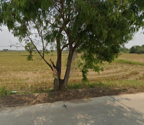 ขายด่วนที่ดิน ติดถนนวัดกลางคลองหลวง-ไร่หลักทอง ที่สวยมาก ๆๆ