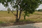 🌳 ที่ดินแปลงงาม วิวธรรมชาติ 🌳 📍 5 ไร่ 2 งาน 16 ตรว.จ.ชลบุรี / อ.พนัสนิคม