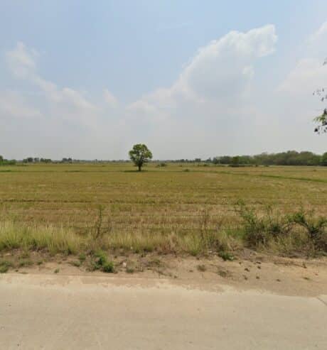 ขายด่วนที่ดิน ติดถนนวัดกลางคลองหลวง-ไร่หลักทอง ที่สวยมาก ๆๆ