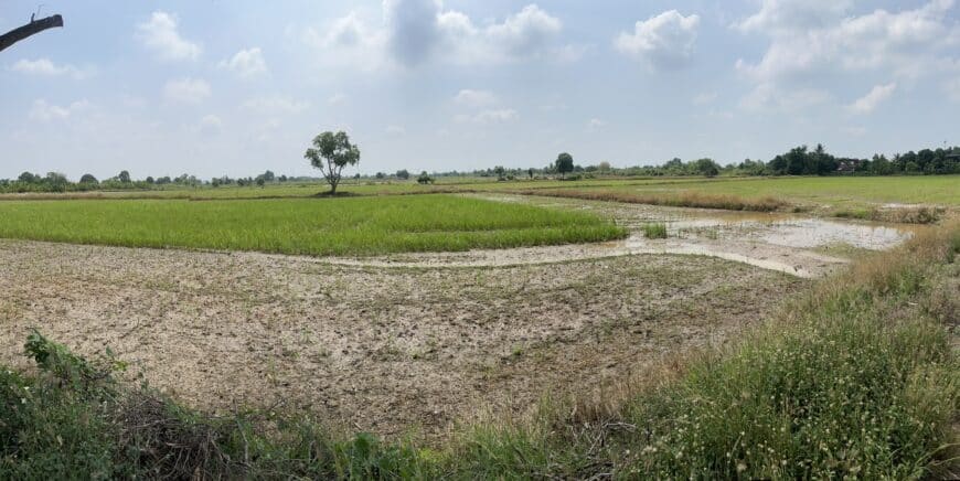 🌳 ที่ดินแปลงงาม วิวธรรมชาติ 🌳 📍 5 ไร่ 2 งาน 16 ตรว.จ.ชลบุรี / อ.พนัสนิคม