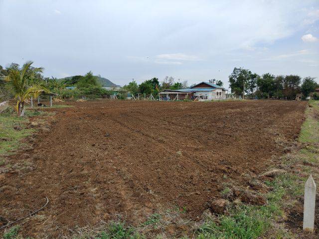 แบ่งขายที่ดิน อยู่ในชุมชน มีเพื่อนบ้าน บรรยากาศดี อำเภอเลาขวัญ กาญจนบุรี