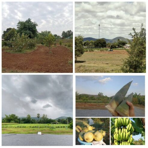 ขายบ้านพร้อมที่ดิน  อยู่ในชุมชน น้ำไฟพร้อม อำเภอเลาขวัญ จ.กาญจนบุรี