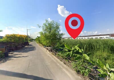 รูปที่1
