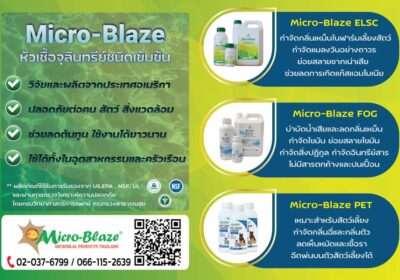 MicroBlaze-3.picforpost