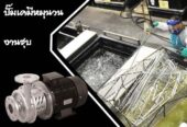 ปั๊มอุตสาหกรรมอาหาร Food pump สำหรับสูบส่งของเหลวงานสุขอนามัย