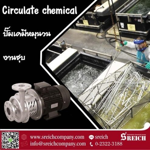 ปั๊มอุตสาหกรรมอาหาร Food pump สำหรับสูบส่งของเหลวงานสุขอนามัย