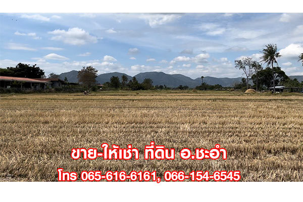 ขายที่ดินเปล่า 3 ไร่ ชะอำ เพชรบุรี ที่สวย ใกล้หัวหิน