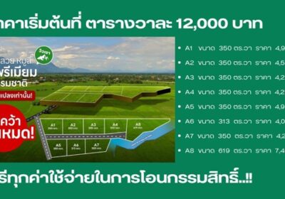 ขายที่ดินหมูสี-ปากช่อง-เขาใหญ่-โคราช-001