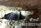ช่างประปา รับเดินท่อประปา ซ่อมประปารั่วนนทบุรี โทร.0825222167 ช่างเอ้