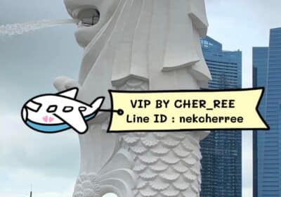 MEITU_20250817_171949488